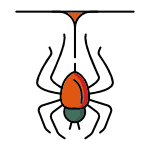 Spider Control Services in Utah